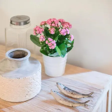 Alfama Charming With 2 Free Bikes By Timecooler Apartmán *